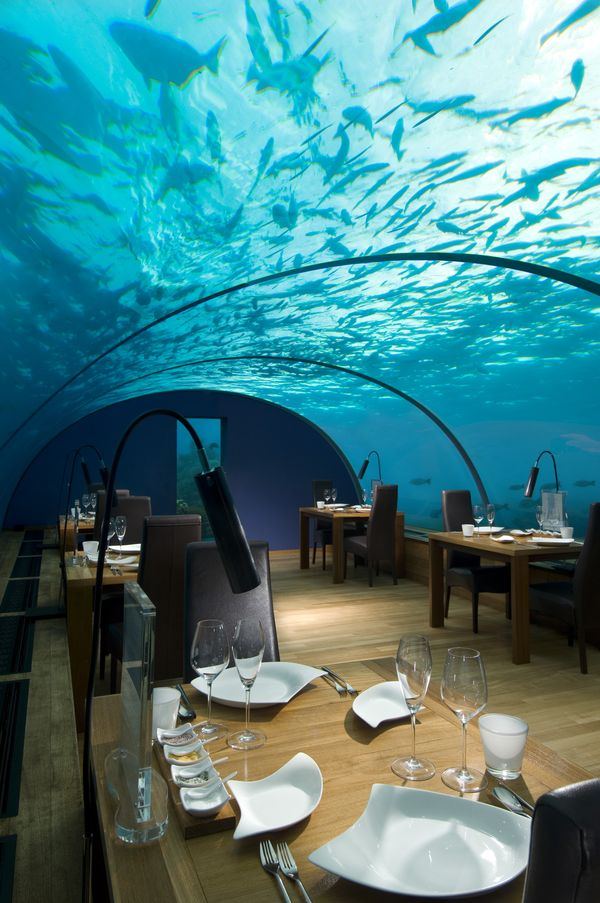 undersea 3